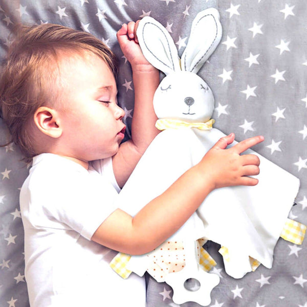 Baby-paisible™ | Doudou bébé multifonction 2 en 1 - Grossesse allegresse -Sommeil et confort